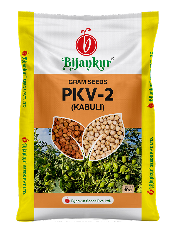 PKV-2 Gram Seeds